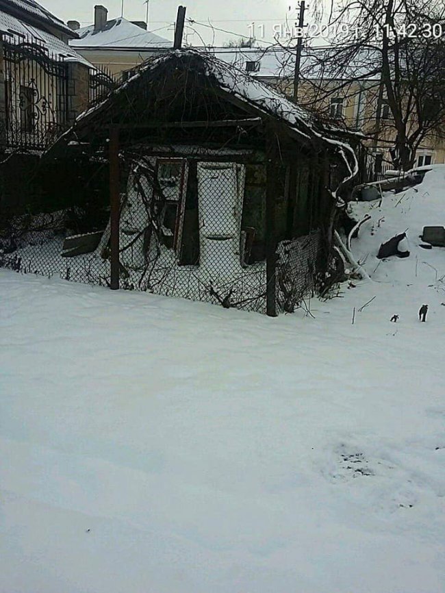 Поблизу Луцького замку муніципали виявили занедбані сараї. ФОТО