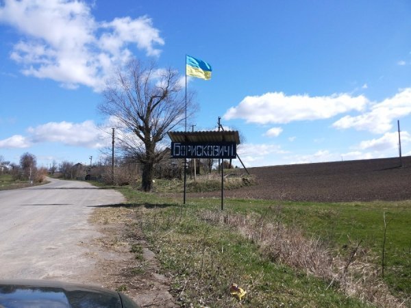 Понад 600 хвойних дерев висадили юніори з депутатами у волинському селі. ФОТО