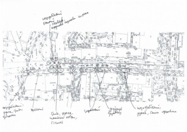 У Луцьку обстежили дерева на Лесі Українки. ФОТО
