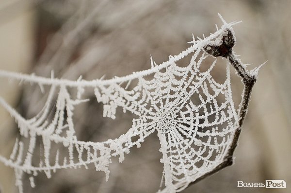 Передноворічний Луцьк убрався в іній. ФОТО