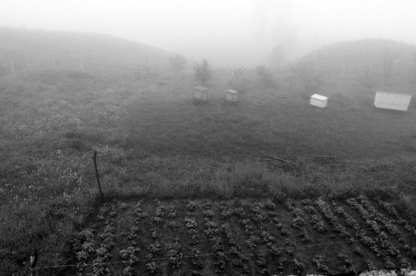 Фотовиставка Анни Лучії Лобос