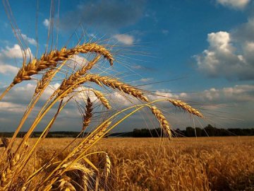 28 липня – яке сьогодні свято та що не можна робити в цей день