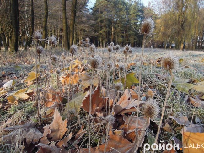 Іній та крига: морозний ранок у Шацьку. ФОТО