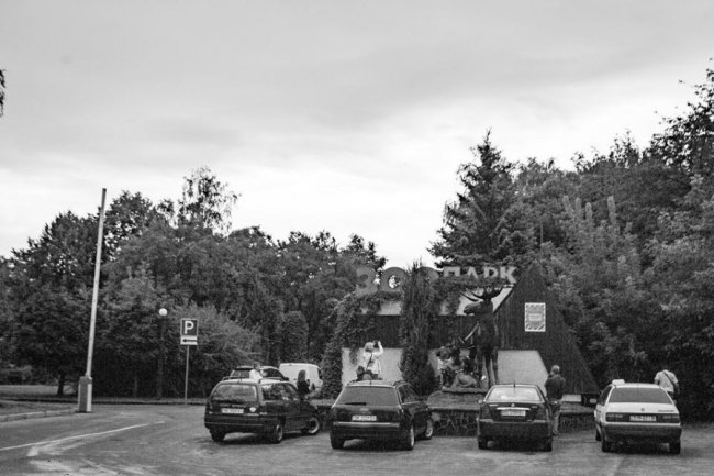 Рівненський звіринець на світлинах волинського фотографа. ФОТО