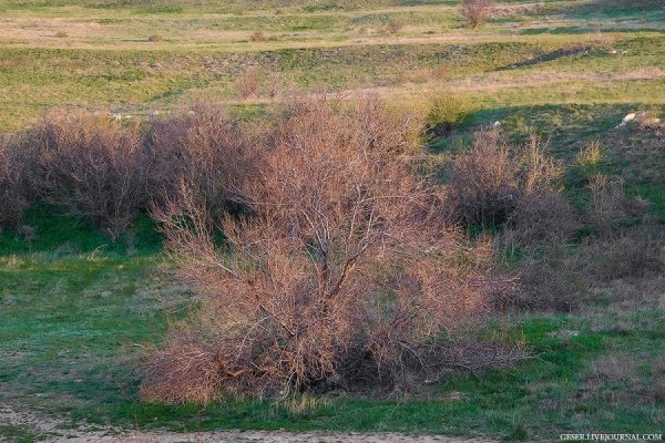 Пляжі Керченського півострова: місця вистачить усім. ФОТО 