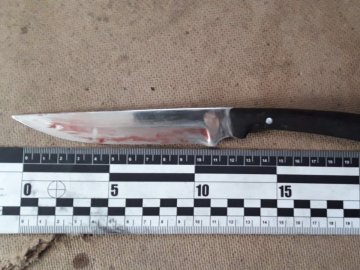 На Волині п'яний чоловік зарізав брата