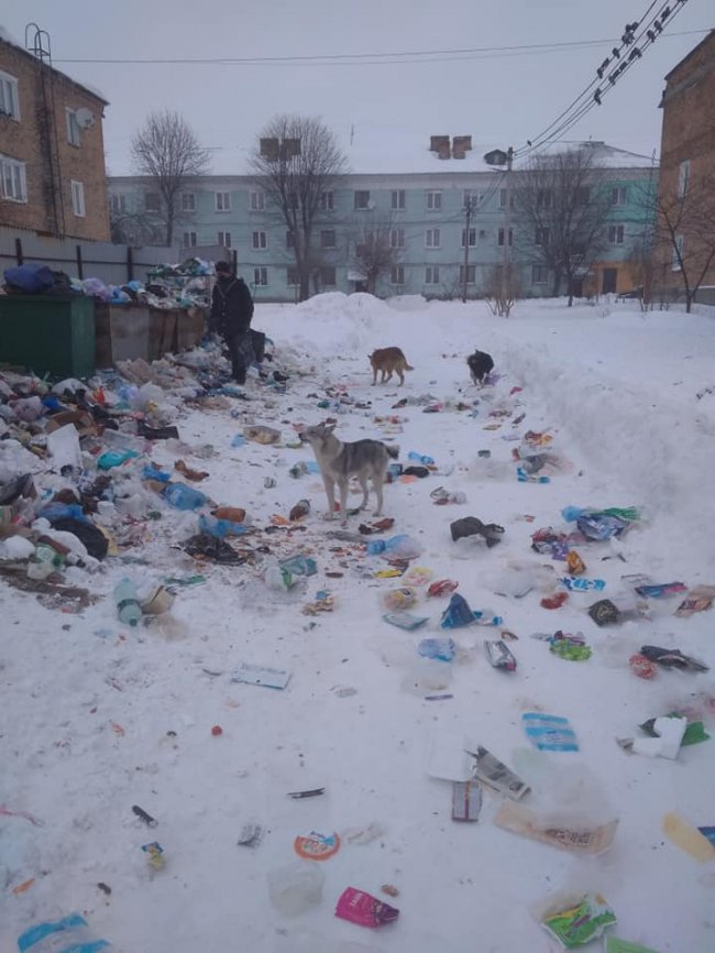 У місті на Волині керівника підприємства позбавили премії через несвоєчасне вивезення сміття