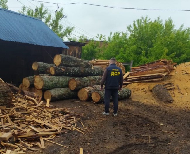 На Ківерцівщині провели масові обшуки в оселях людей, які причетні до крадіжок лісу. ФОТО