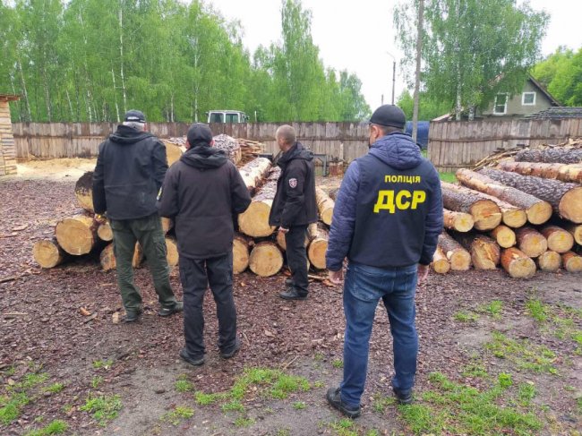 На Ківерцівщині провели масові обшуки в оселях людей, які причетні до крадіжок лісу. ФОТО