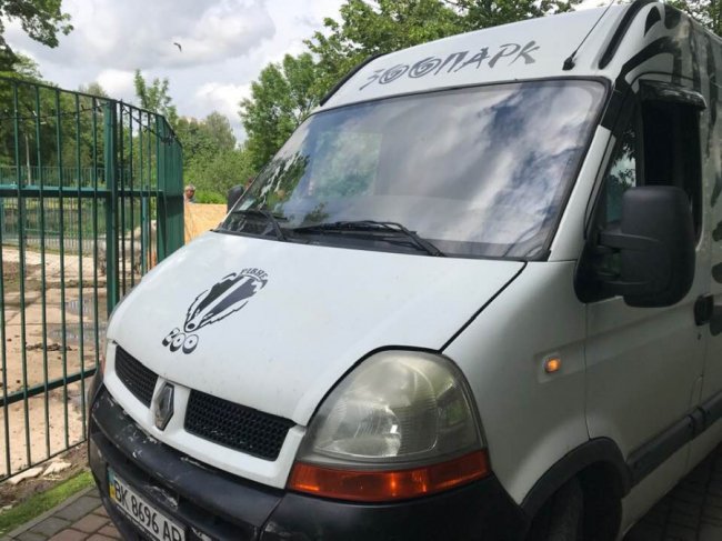 До луцького звіринцю привезли ще одну тваринку. ФОТО