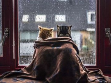 З 2 жовтня синоптики прогнозують похолодання