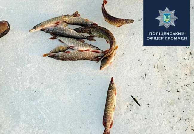 У Городищенській ОТГ спіймали браконьєрів-рибалок
