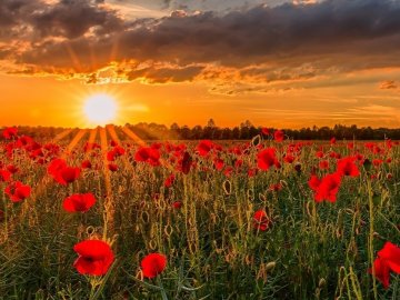 Синоптики попереджають про заморозки  у серпні