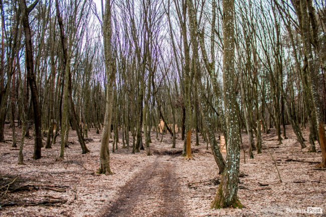 Перший день весни у «волинській Швейцарії». ФОТОРЕПОРТАЖ