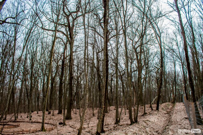 Перший день весни у «волинській Швейцарії». ФОТОРЕПОРТАЖ