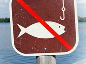 Нерест 2018: яку рибу і де можна ловити?