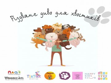 «Різдвяне диво для хвостиків»: лучан закликають допомогти тваринам 