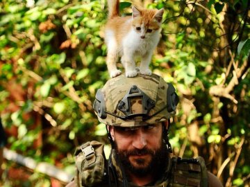 Ситуація на фронті: за добу відбулося 44 бойових зіткнення. ЗВЕДЕННЯ ГЕНШТАБУ