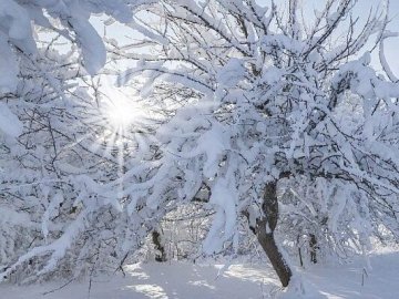 Погода в Луцьку та Волинській області на завтра, 17 січня