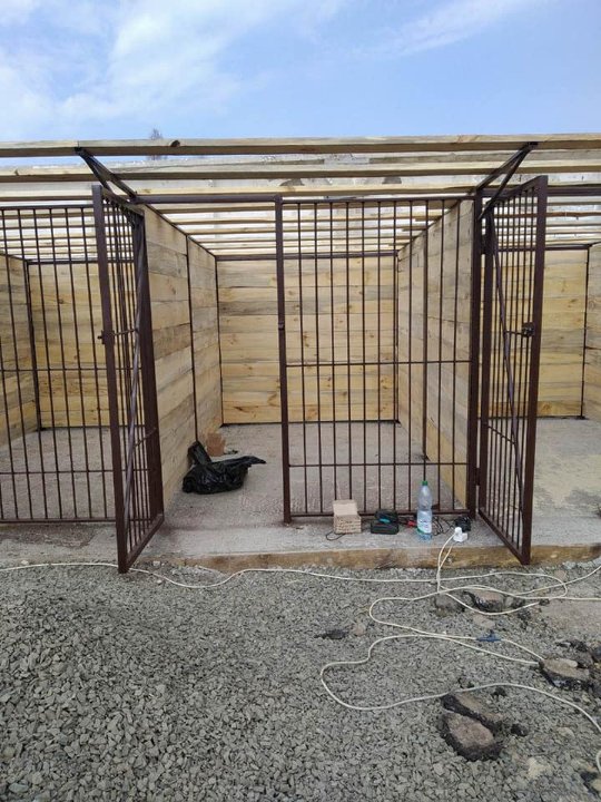 Закликають допомогти з будівництвом вольєрів для собак, яких прихистила одинока бабуся з Луцька