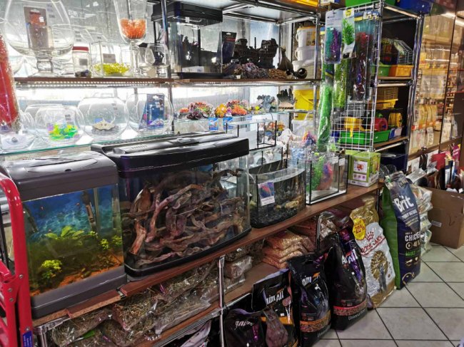 Усе необхідне для тварин – online і з безкоштовною доставкою під двері: як луцький «Зоомаркет» працює в карантин*