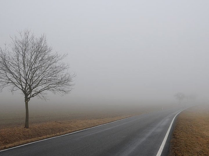 Синоптики оголосили попередження про небезпеку туману на Волині