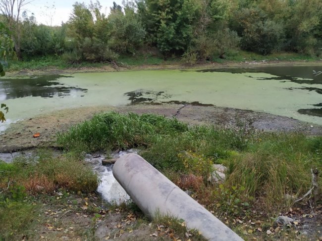 20 мішків сміття: учні луцької школи прибрали біля річки Стир. ФОТО