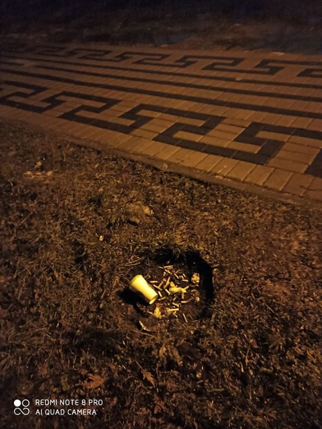 «Група приматів-вандалів» вкотре поперекидала смітники у луцькому парку. ФОТО