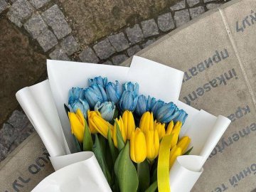 Добрі новини від ВолиньPost за 19 квітня 