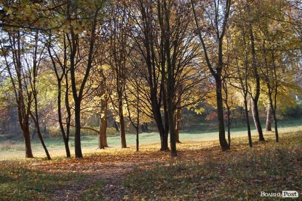 Парк у Луцьку: осіння краса і людська байдужість. ФОТО