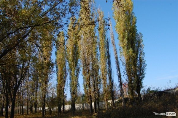 Парк у Луцьку: осіння краса і людська байдужість. ФОТО