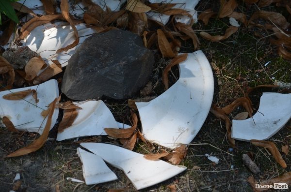 На кладовищі Луцька повалені пам'ятники, а могили заросли чагарниками. ФОТО