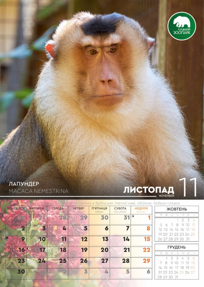 Луцький зоопарк випустив календар зі світлинами своїх підопічних. ФОТО