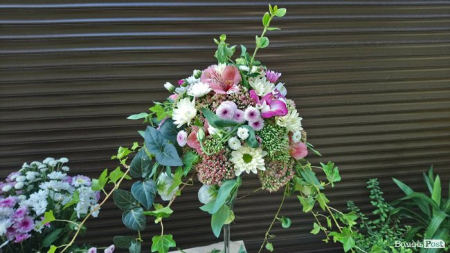 «Квітковий бум» на перший дзвоник: ціни в Луцьку. ФОТО