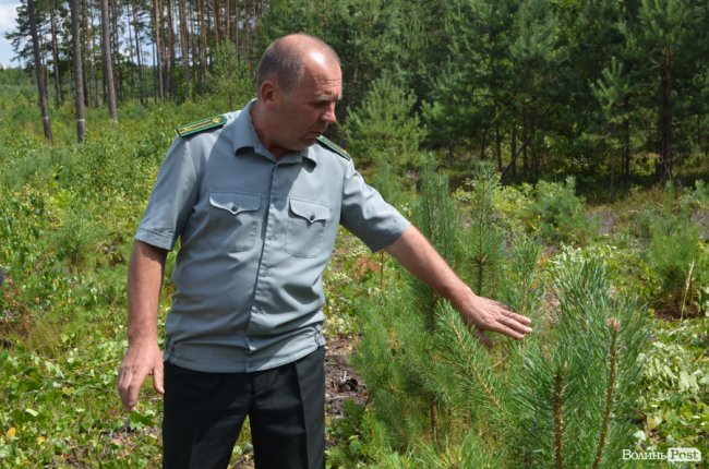 Потрібно доглядати: навіщо журналістів вивезли до Скулинського лісу