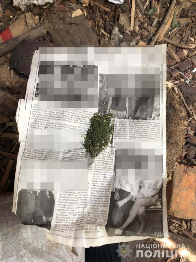 На Волині двоє братів вирощували коноплі і продавали канабіс