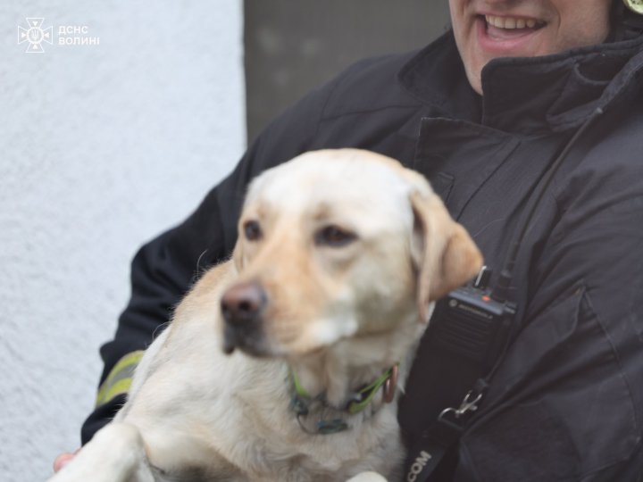 У Луцьку горів житловий будинок: врятували собаку й кота