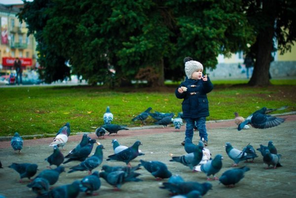 Фотовиставка Роксолани Несторук