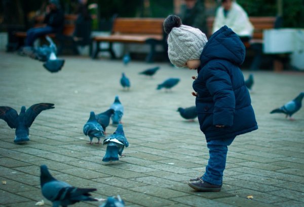 Фотовиставка Роксолани Несторук