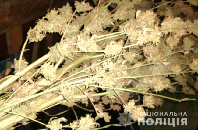 На Рівненщині в орендованому будинку діяла нарколабораторія. ФОТО