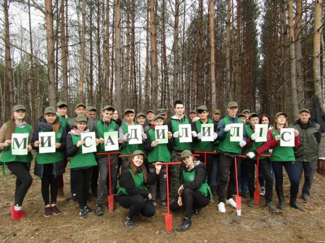 Мільйони сіянців і тисячі гектарів території: весна-2019 у волинських лісах. ФОТО