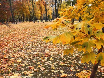 Погода в Луцьку та Волинській області на завтра, 26 жовтня