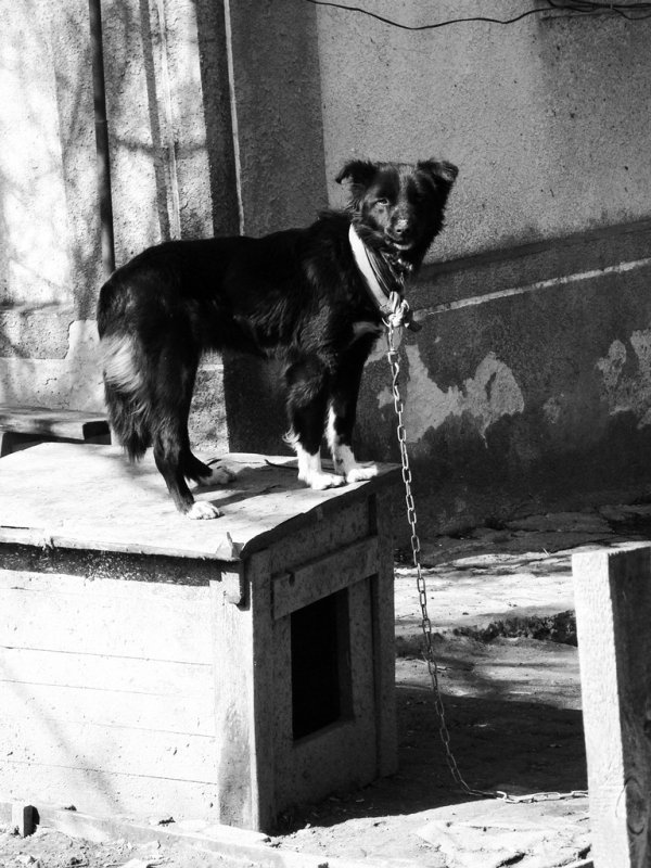 Фотовиставка Валентини Жуги