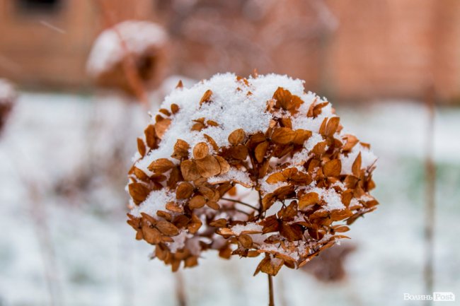Засніжений Луцьк. ФОТОРЕПОРТАЖ