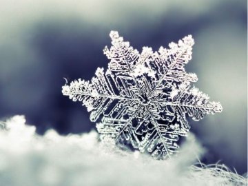 Погода в Луцьку та Волинській області на вівторок, 12 січня