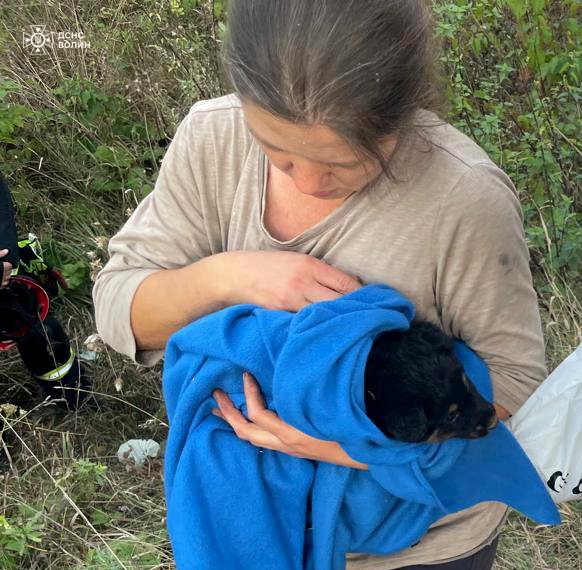 У Луцьку рятувальники визволили цуценят, які впали у 10-метровий колодязь