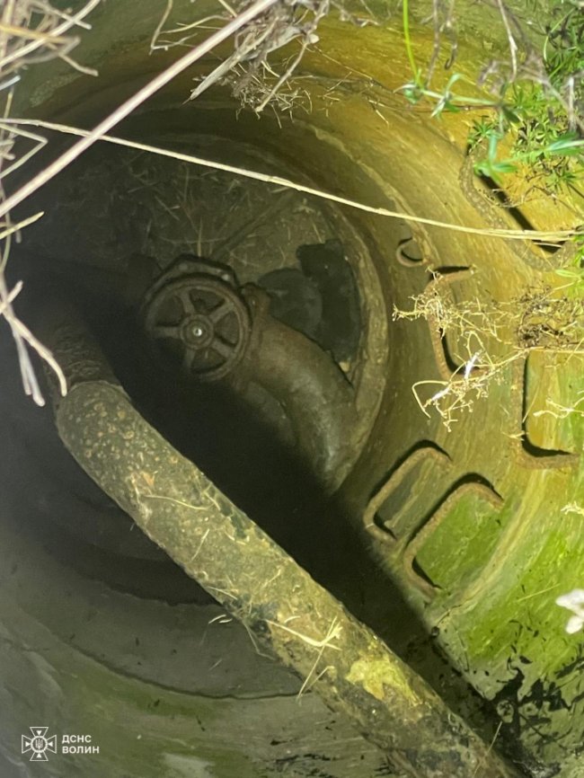 У Луцьку рятувальники визволили цуценят, які впали у 10-метровий колодязь