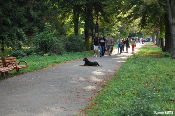 День Незалежності у Луцьку. ФОТО