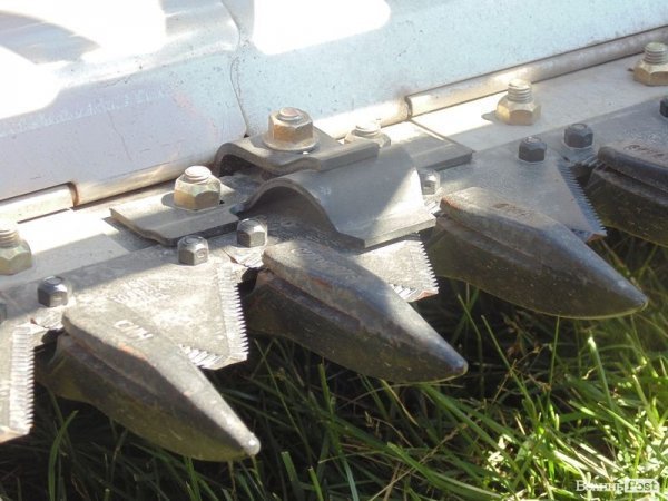 День поля на «Волинь-зерно-продукті». ФОТО*