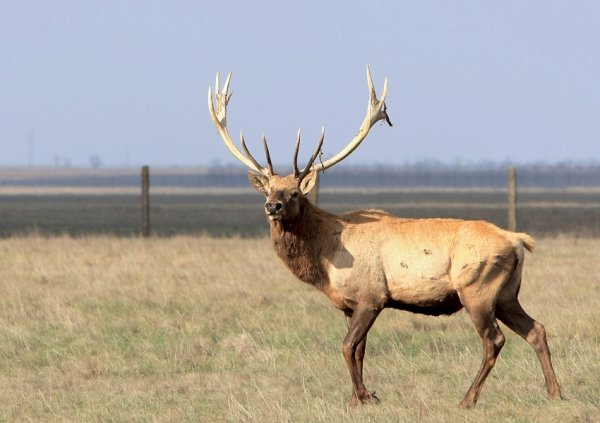 Втекти до природи. Топ-5 неповторних заповідників України. ФОТО